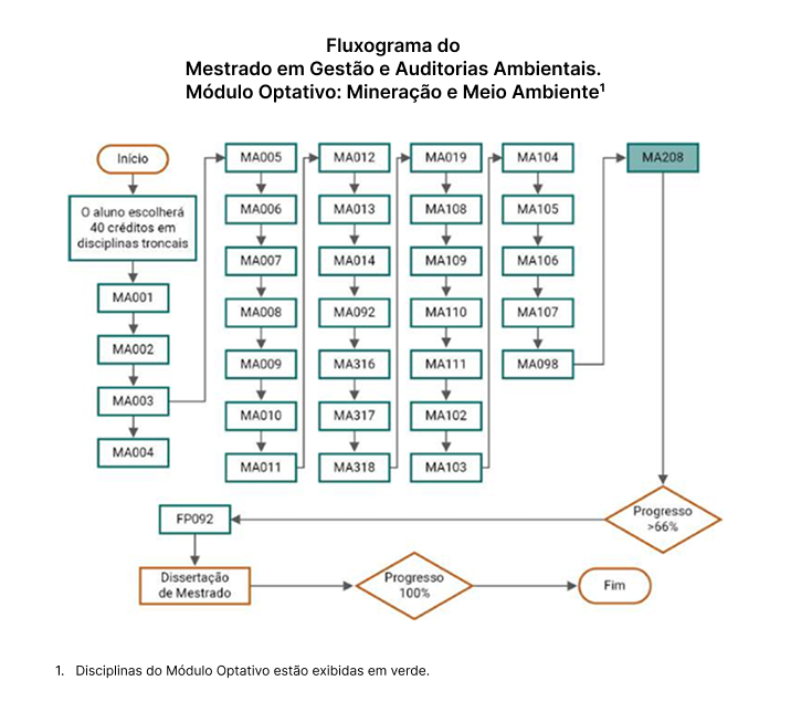 Diagrama de Flujo Módulo Optativo_Minería y Medioambiente